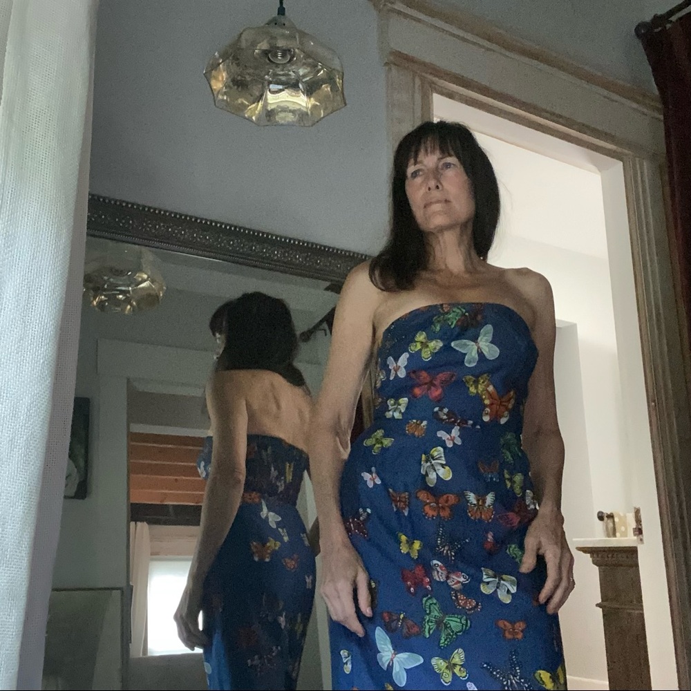 Anthropologie Nathalie lete Paris dress - Picture 3 of 15